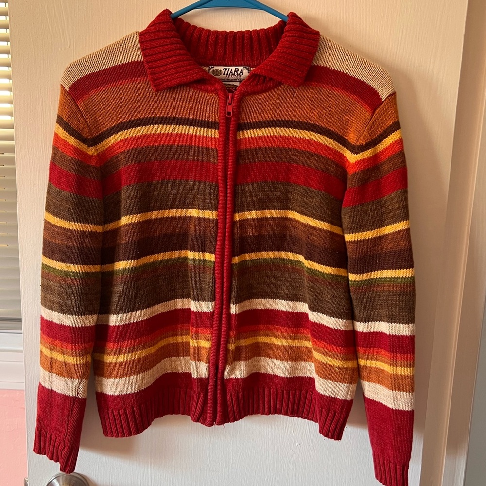 Multi colored, striped zip up.